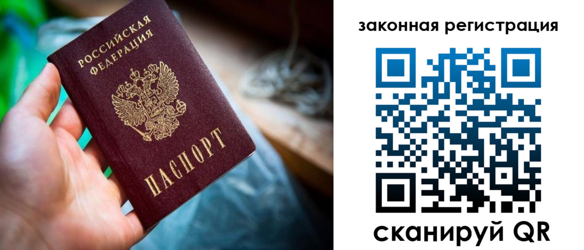 прописка в Змеиногорске